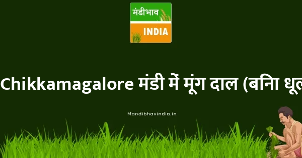 Green Gram Dal (Moong Dal) भाव